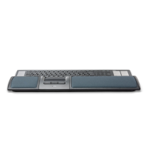 Souris centrale Lite