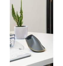 Souris scroll infini FastForward