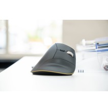 Souris scroll infini FastForward