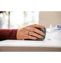 Souris scroll infini FastForward