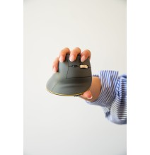 Souris scroll infini FastForward