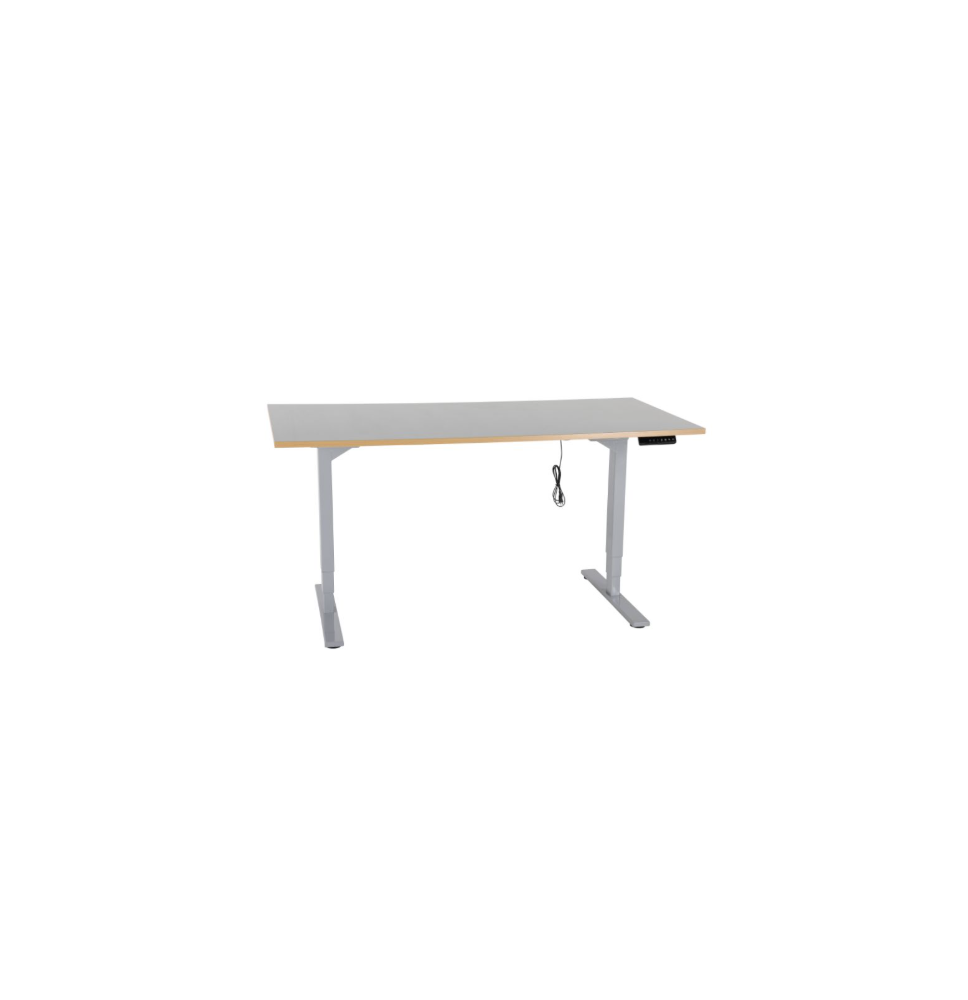 Table électrique 150kg